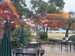 -浙江西子宾馆·瑶园咖啡厅