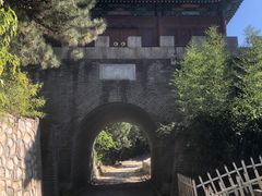 -云岗森林公园