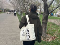 -高东镇樱花园