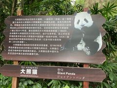 -深圳野生动物园