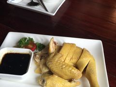 -四季春