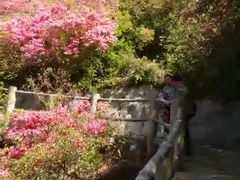 -木兰云雾山