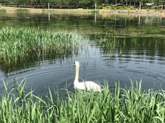 -吉林大学(前卫南区)