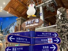 -湘江欢乐城欢乐雪域