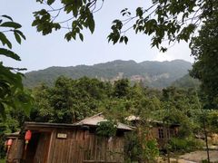 -天门沟九州驿站树上汤泉
