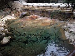 牯牛降国家自然保护区-祁门牯牛降观音堂风景区