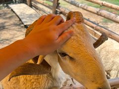 -泉州海丝野生动物世界