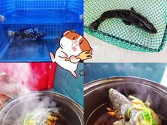 -鑫鸿达·海鲜闽菜热炒小馆(中山路店)