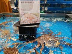 -盒马鲜生(领丰汇店)