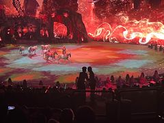 -珠海横琴长隆《卡卡虎奇遇记》