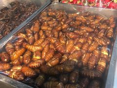 -白洋淀灶台鱼(名佳花园店)