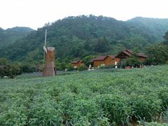 -德庆盘龙峡生态旅游区