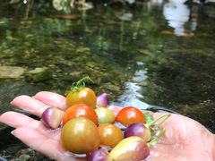 -三门江国家森林公园