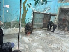 -石家庄市动物园