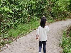 -青龙山国家森林公园