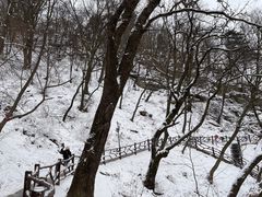 -终南山南五台景区