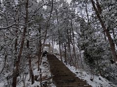-大慈岩风景区