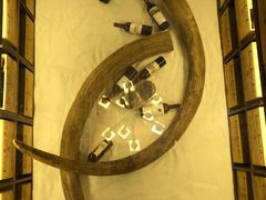 -福禧酒窖·中餐厅 (万柳店)