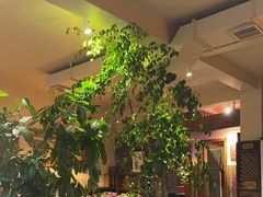 -慢丽江·云南野生菌土鸡锅(付家庄店)
