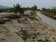 -白水寺森林公园