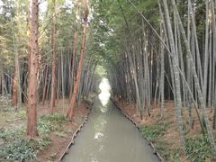 -同里国家湿地公园
