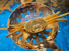 -亚马逊蒸汽活海鲜自助(LCM置汇旭辉广场店)