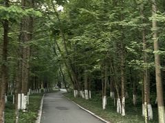 -桤木河湿地公园