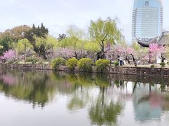 -无锡蠡湖国家湿地公园-蠡园