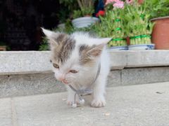 -襄阳城墙