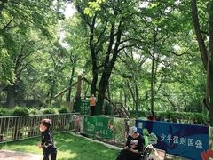 -紫金山山顶公园