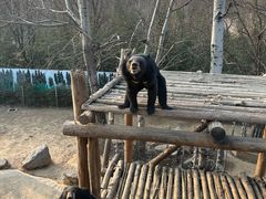 -济南野生动物世界