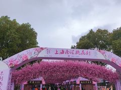 -南汇桃花村