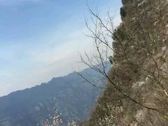 -神农山景区