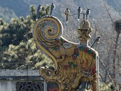 -潭柘寺景区