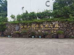 -四明山国家森林公园