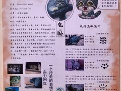 -青藏高原野生动物园