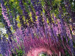 -宝岩生态观光园