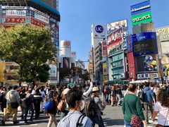 -涩谷全向十字路口