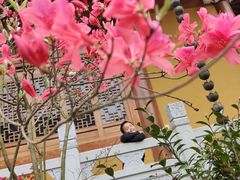 -风味烧烤(泰富店)