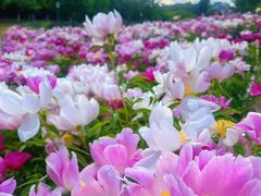 -长春世界雕塑园冰雪艺术天地