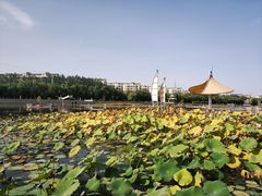 -党河风情线国家水利风景区