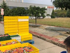 -中粮丰通（北京)食品有限公司