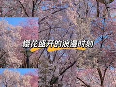 -三水森林公园