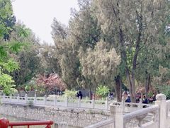 -莲池书院博物馆