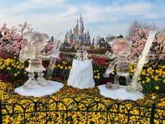 -上海迪士尼度假区