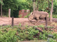 -清迈夜间动物园