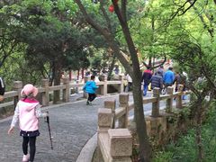 -灵岩山风景区