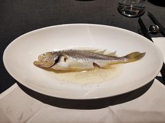 油盐水蒸中黄鱼-广舟(千禧店)
