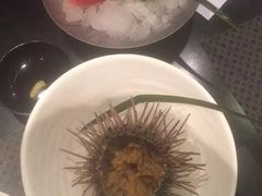 -红叶日料·放题·海胆·定食(星海店)