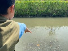 -樂桃源奉贤黄桃种植采摘基地